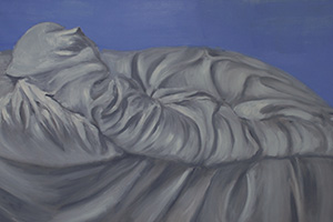 The draperies of venus 2008-2011
